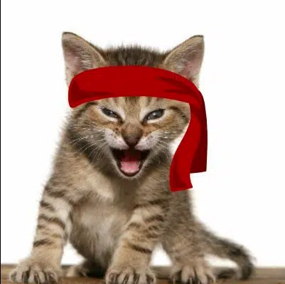 Roaring Kitty logo