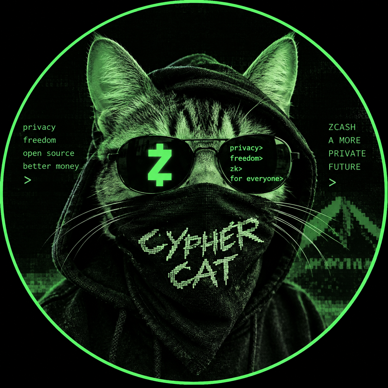 CypherCat logo